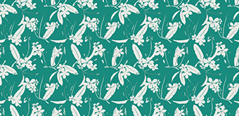 Rapport eines Stoffes